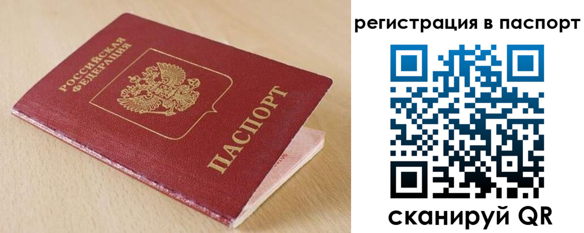 прописка поиск в Рязанской области