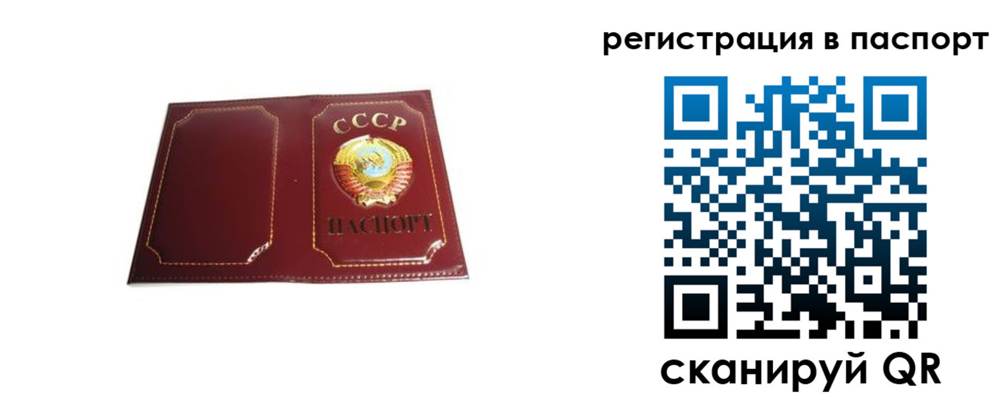 прописка 2025 в Рязанской области